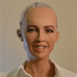 sophia the robot